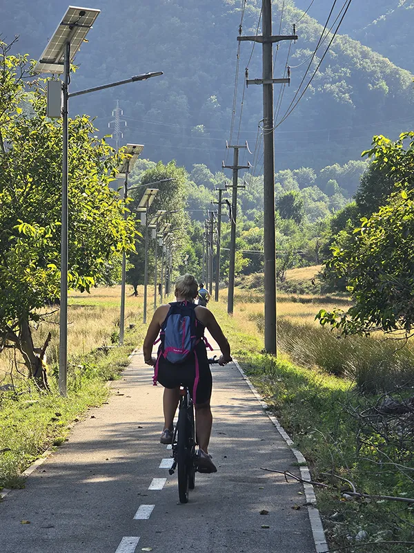biciclete electrice brezoi
