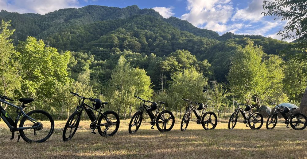 Biciclete electrice brezoi